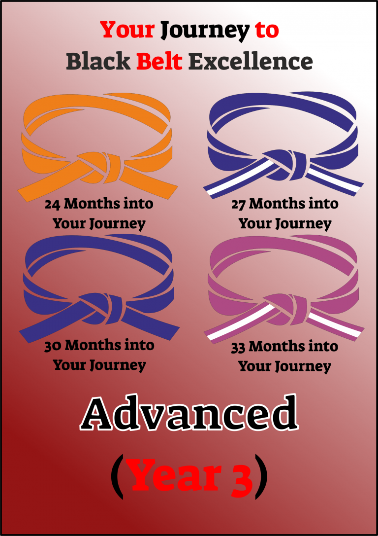 Journey to Black Belt Excellence Chiwaiblackbeltacademy